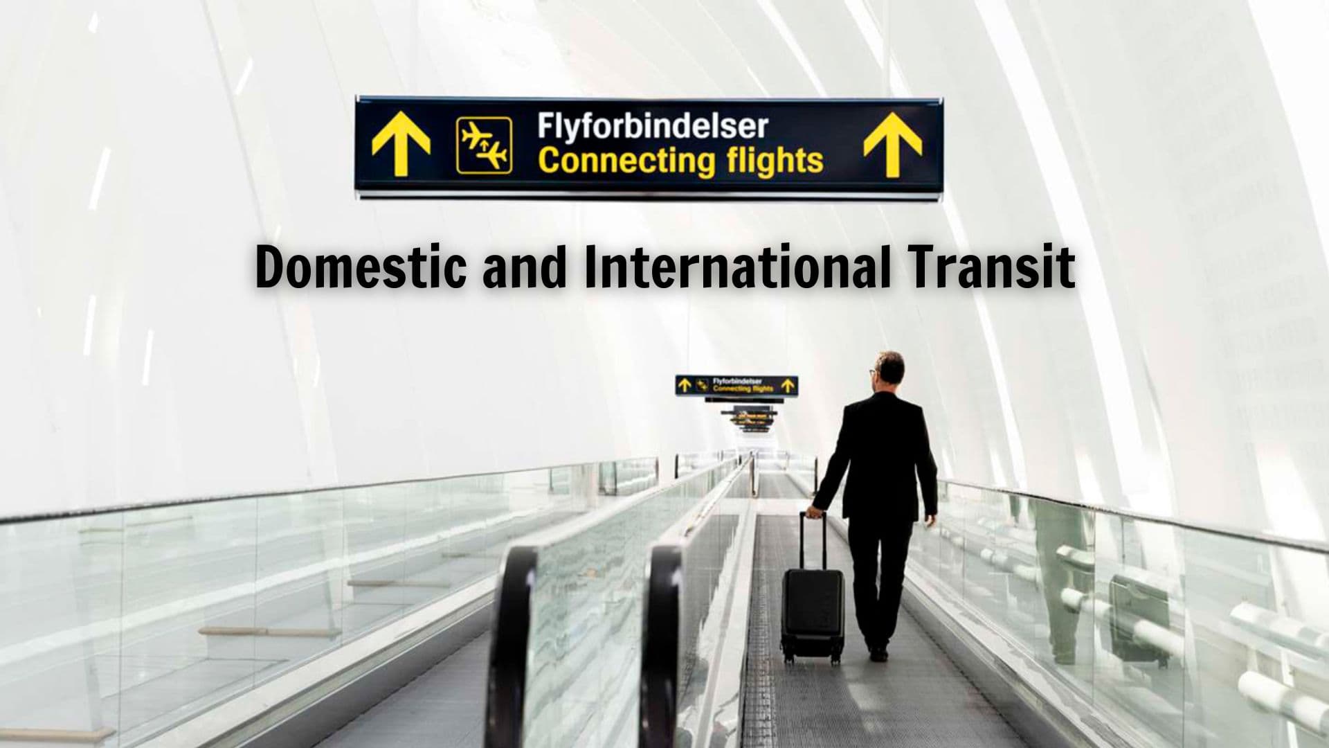 Domestic and International Transit: Key Differences to Note