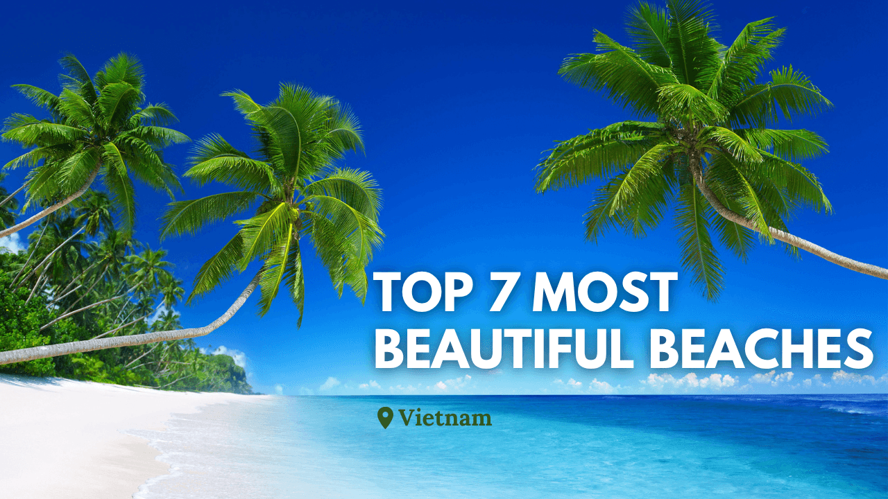 Top 7 Most Beautiful Beaches in Vietnam for Relaxation and Leisure